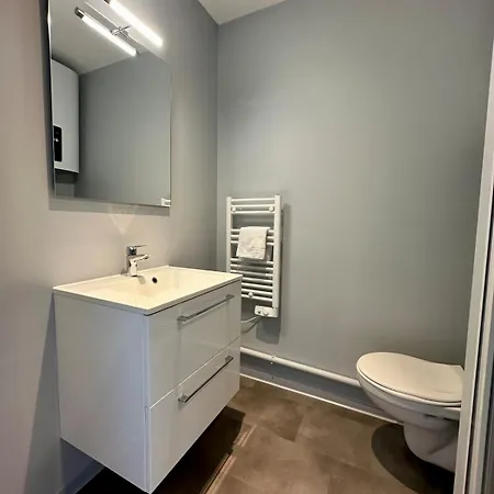 65 Rénové Et équipé - Nancy Brabois Proche Chru,cesi,fac Vandœuvre-lès-Nancy