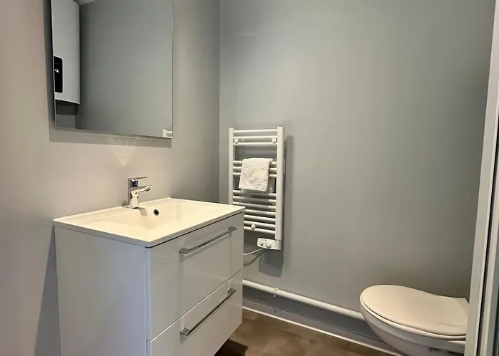 65 Renove Et Equipe - Nancy Brabois Proche Chru,cesi,fac 旺德夫尔莱南锡