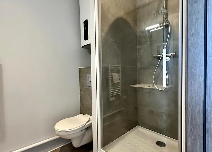 公寓 65 Renove Et Equipe - Nancy Brabois Proche Chru,cesi,fac 旺德夫尔莱南锡